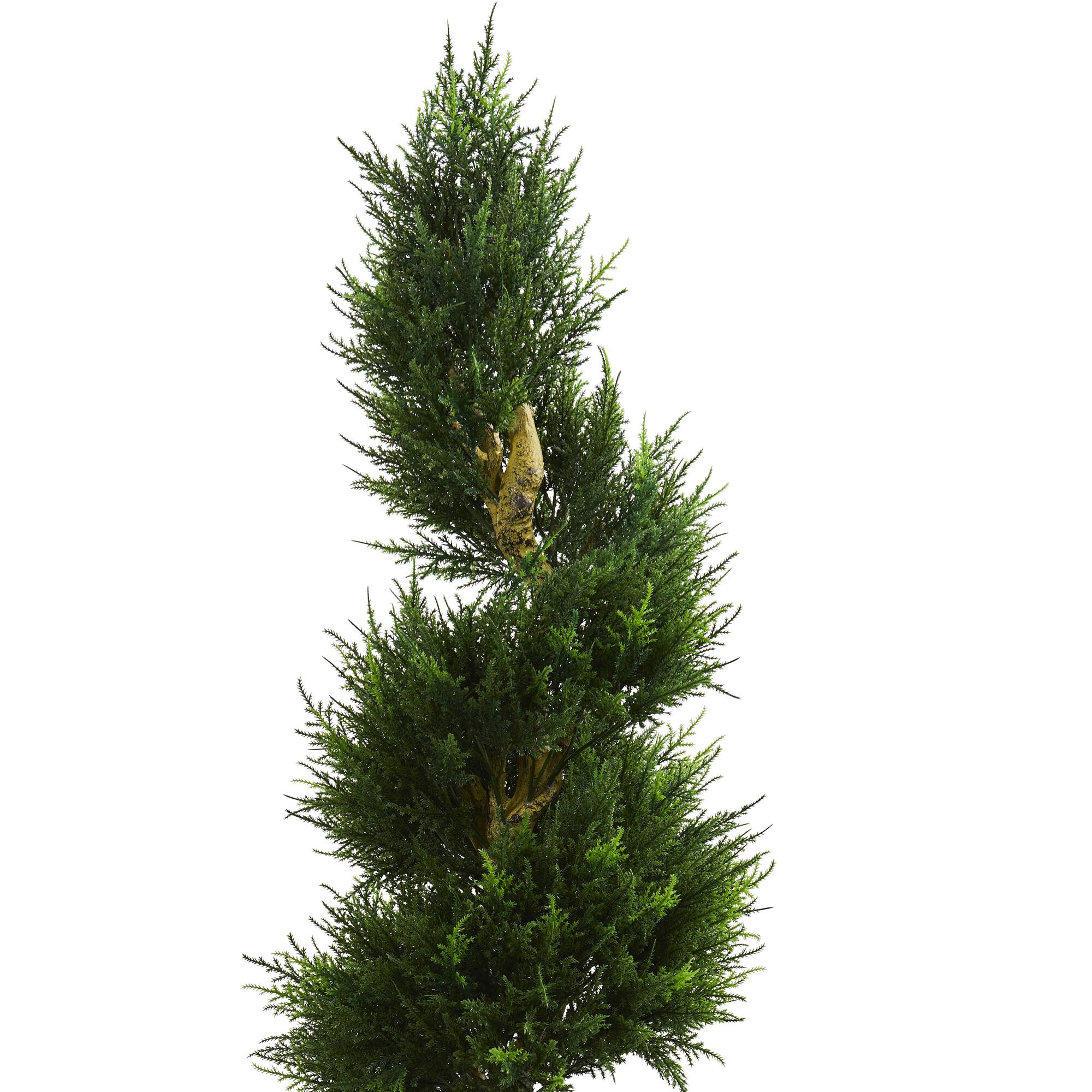 6ft. Spiral Cypress Tree in Cylinder Planter
